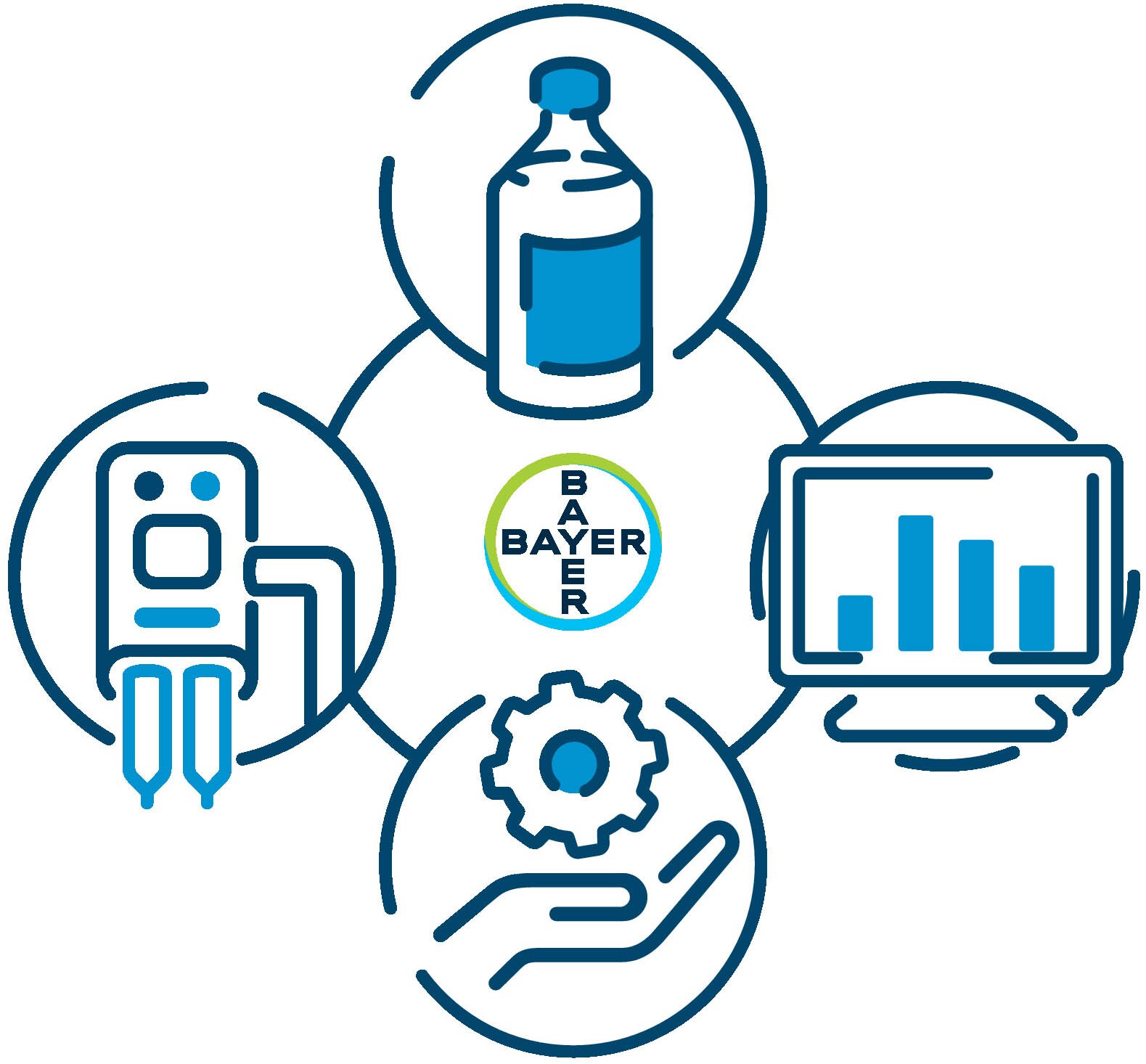 Bayer workflow infographic